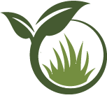 Privacy Shrub Installation Pros