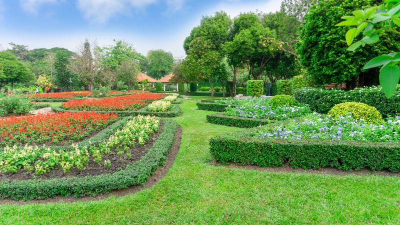 Privacy Shrub Installation