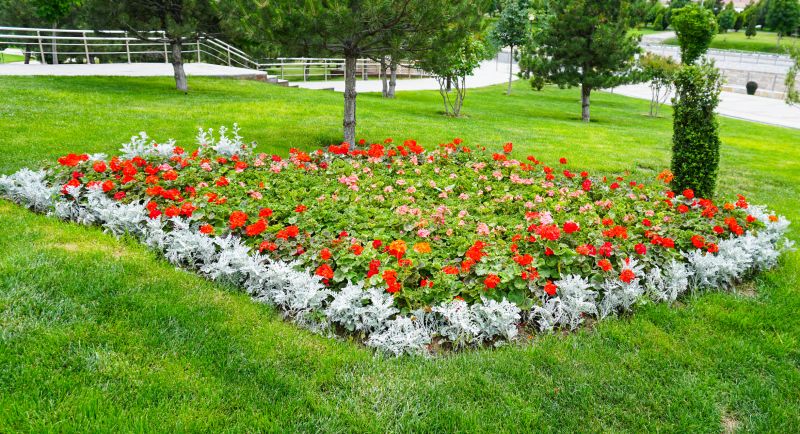 Privacy Shrub Installation