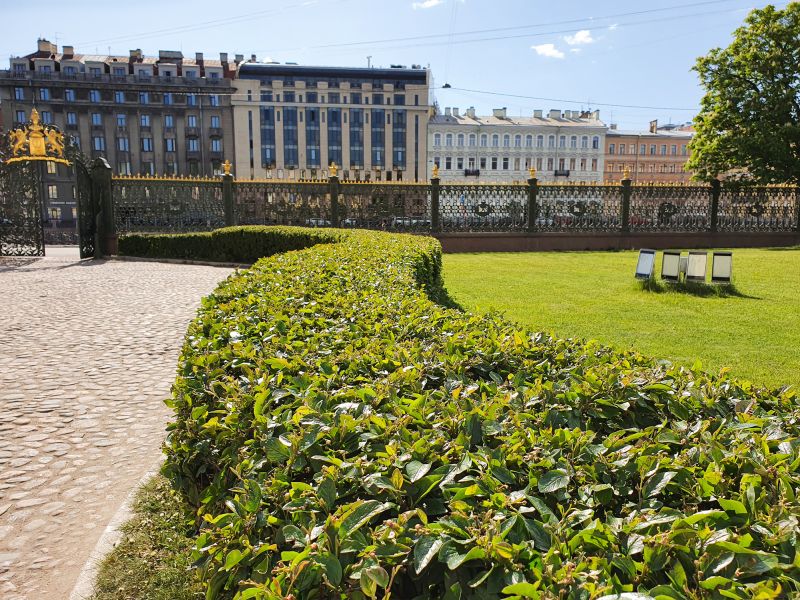 Healthy Shrubs Post-Planting