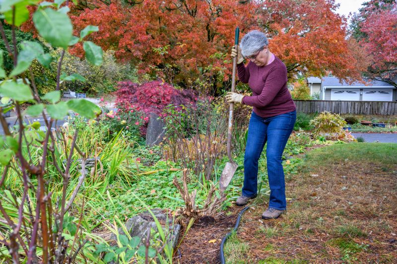 Fall Planting Benefits